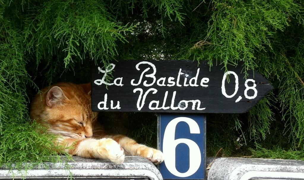 La Bastide Du Vallon Konuk evi Saumane-de-Vaucluse Dış mekan fotoğraf