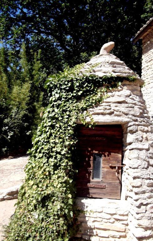 La Bastide Du Vallon Konuk evi Saumane-de-Vaucluse Dış mekan fotoğraf